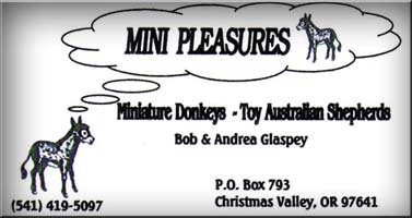 Mini Pleasures Miniature Donkeys and Toy Australain Shepherds