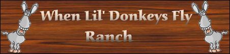When Lil Donkeys Fly Ranch