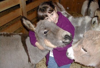 Click here to see a larger view of our little granddaughter hugging one of our little miniature donkeys.