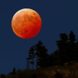 Red Moon Acres
